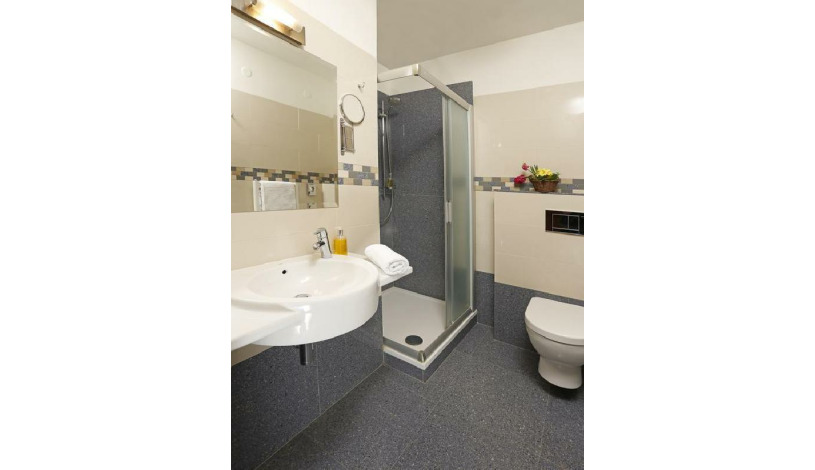 HOTEL SPA SMETANA - VYŠEHRAD Karlovy Vary